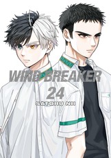 Wind Breaker 24