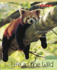 Sąsiuvinis A5 48l. langeliais