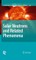Solar Neutrons and Related Phenomena