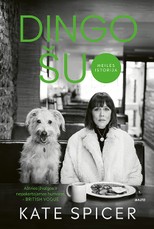 DINGO ŠUO (knyga su defektais)