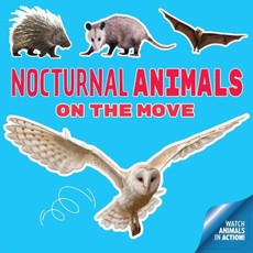 Nocturnal Animals on the Move