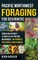 Pacific Northwest Foraging for Beginners
