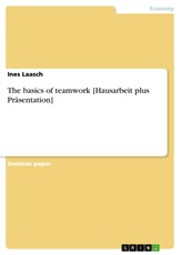 The basics of teamwork [Hausarbeit plus Präsentation]