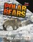 Polar Bears on the Hunt