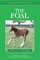 Understanding the Foal