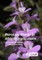 Parasitic Plants in African Agriculture