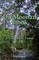 On Moonan Brook
