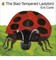 The Bad-Tempered Ladybird
