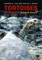 Tortoises of the World