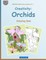 BROCKHAUSEN Colouring Book Vol. 2 - Creativity