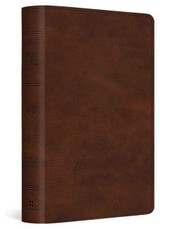 ESV Large Print Bible