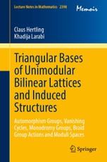 Triangular Bases of Unimodular Bilinear Lattices and Induced Structures