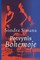 Potvynis Bohemoje