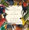 The Meaning of Birds