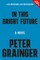 In This Bright Future