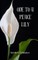 Ode to a Peace Lily