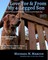 Love For & From My 4-Legged Son: How an ordinary golden retriever became an extraordinary dog