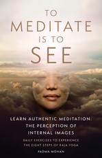 To Meditate Is to See