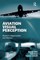 Aviation Visual Perception