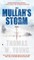The Mullah's Storm