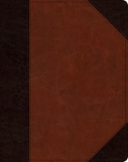 ESV Single Column Journaling Bible (Trutone, Brown/Cordovan, Portfolio Design)