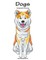 Dogs Coloring Book for Grown-Ups 1