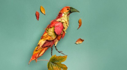 Atvirukas RUDENINIS PAUKŠTIS