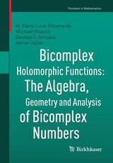 Bicomplex Holomorphic Functions