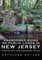 Abandoned Ruins on Public Lands in New Jersey
