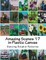 Amazing Scenes 17