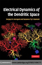 Electrical Dynamics of the Dendritic Space