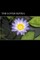 The Lotus Sutra