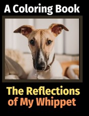 The Reflections of My Whippet