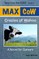 MAX CoW