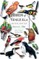 Birds of Venezuela