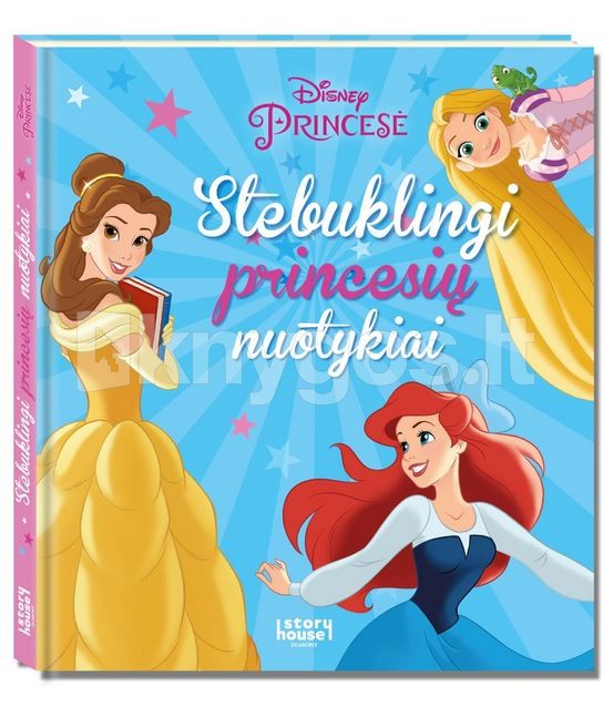 Princesė. Stebuklingi princesių nuotykiai dovanos nuotrauka