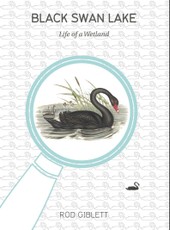 Black Swan Lake