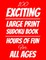 100 Exciting Large Print Sudoku Book