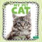 My Pet Cat