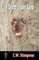 A Death Under Sand