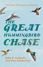 The Great Hummingbird Chase