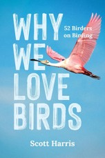 Why We Love Birds