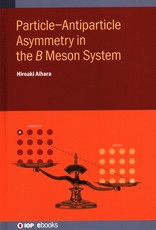 Particle-Antiparticle Asymmetry in the ���� Meson System