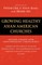Growing Healthy Asian American Churches