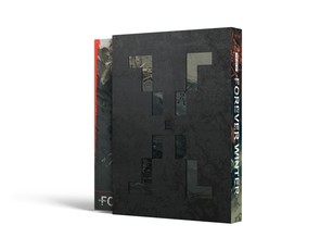 The Art of the Forever Winter
