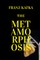 The Metamorphosis
