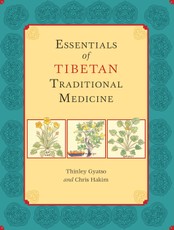 Essentials of Tibetan Traditional Medicine