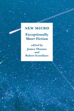 New Micro: Exceptionally Short Fiction