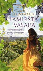 Pamiršta vasara