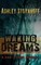Waking Dreams